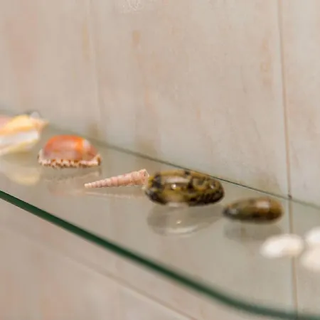 Appartement Jelena Tribalj